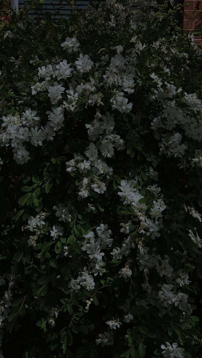 dma3rd's tweet image. 