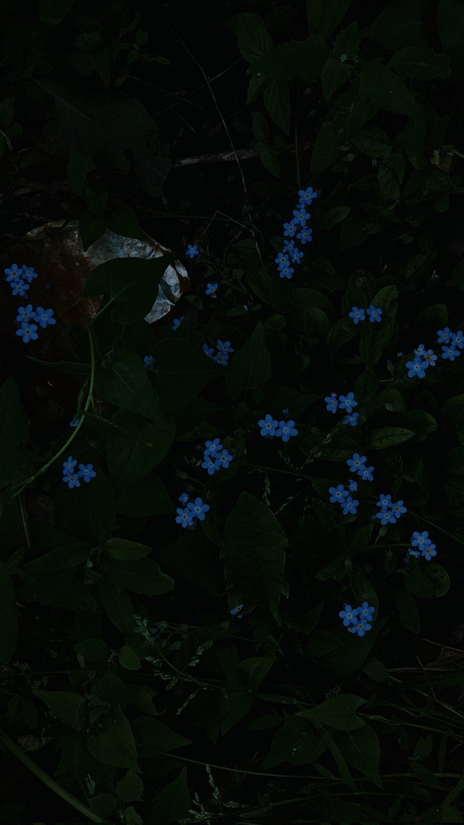 dma3rd's tweet image. 