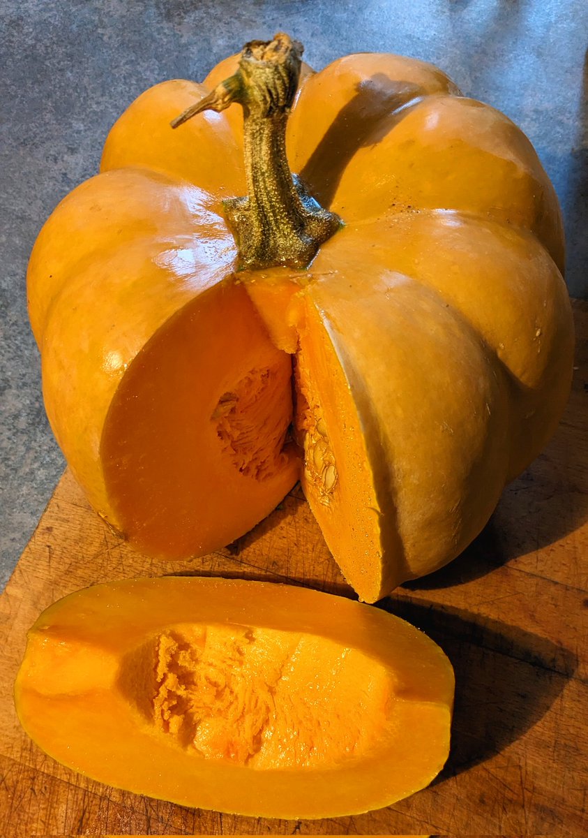 Non, elle n'est pas en plastique !