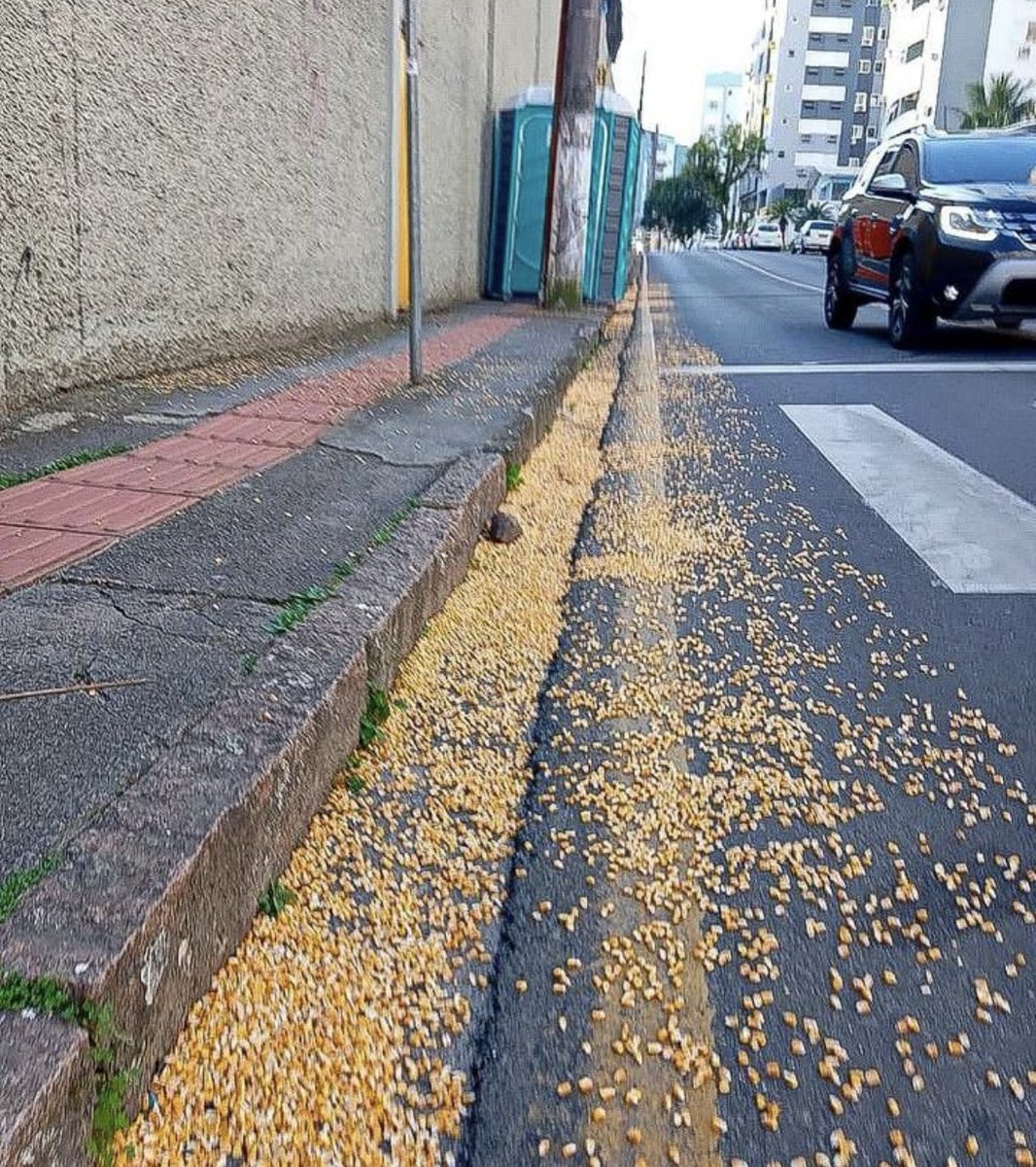 Cruzeirenses Arrogantes tweet media