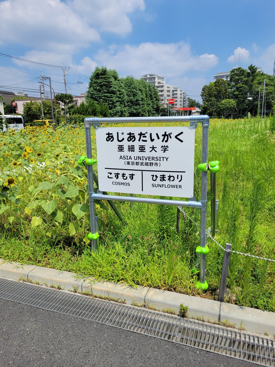 chupacabra827's tweet photo. 1日居たら頭悪くなった気がした https://t.co/OAJ81uGvzO