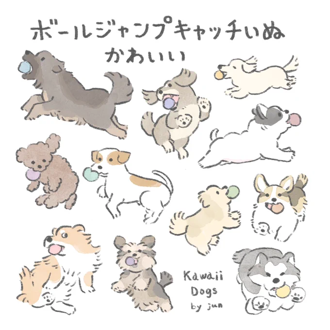 ボールジャンプキャッチいぬドッグかわいい 