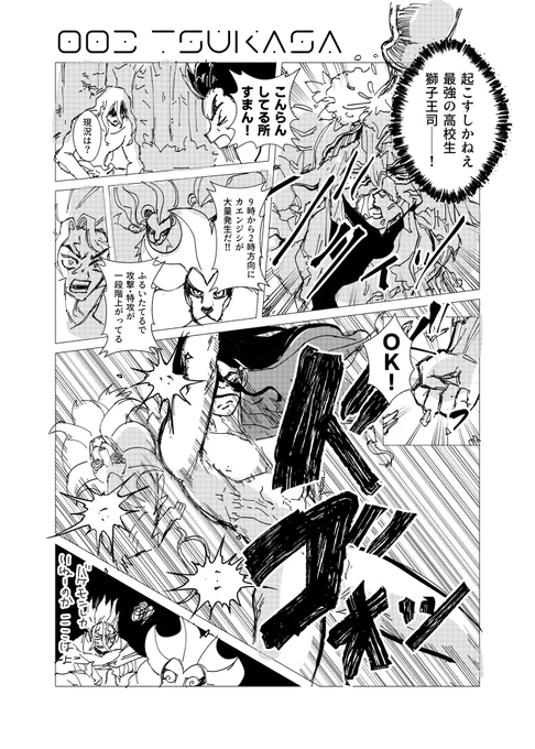 dcst世界に当たり前にpkmnがいる話(7/16)
司➕カエンジシ/コライドン 
