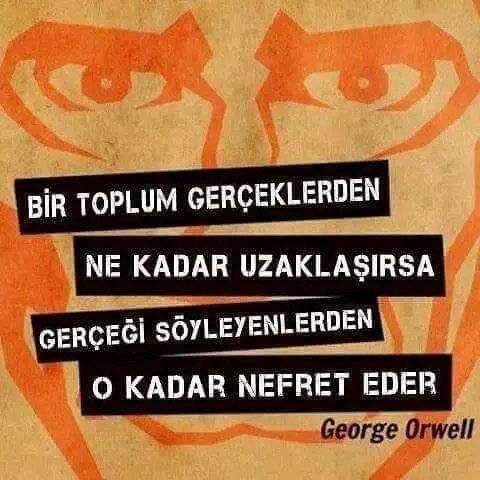 Ebru Cansın Palaur (@ebrucansin) on Twitter photo 