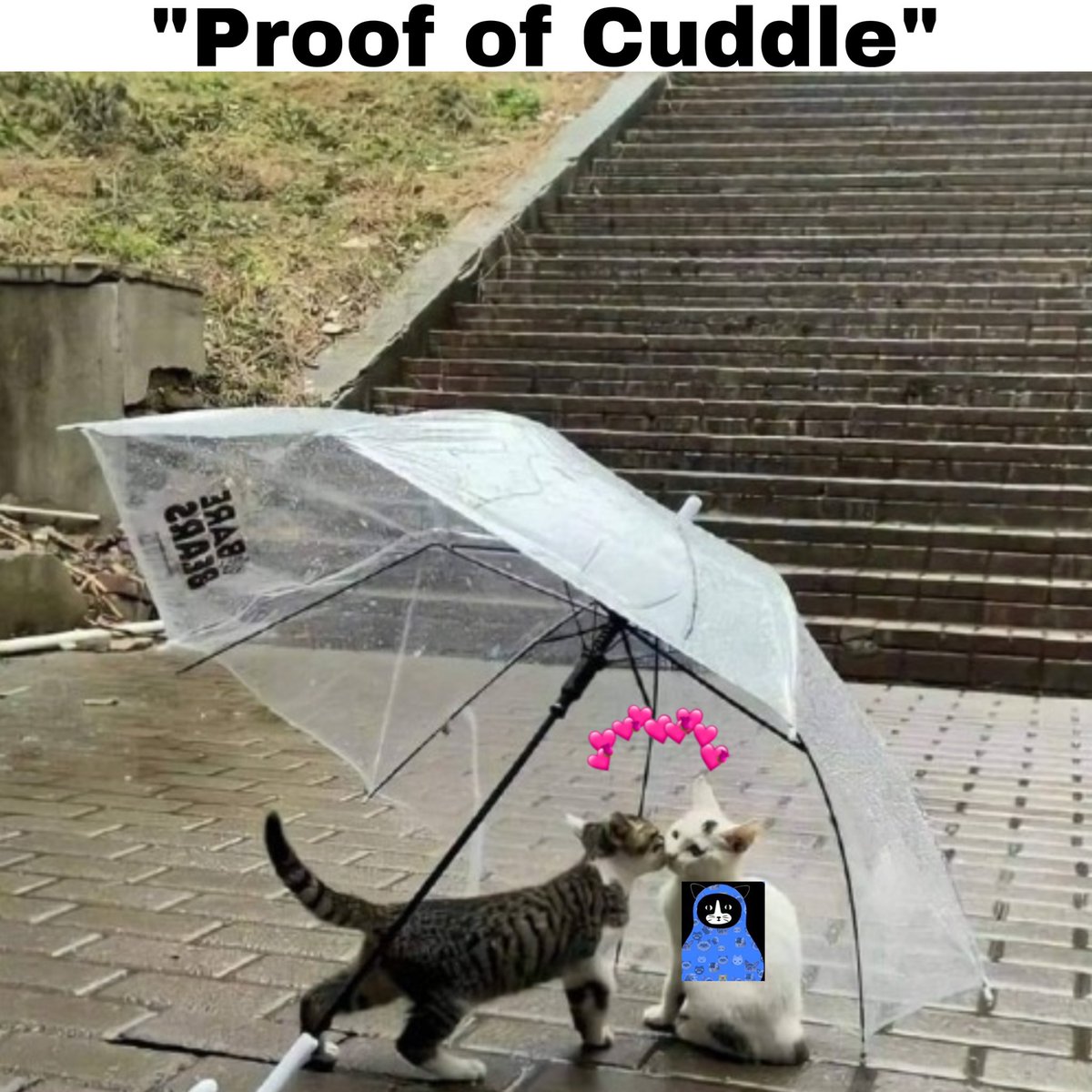 Ocha632's tweet photo. @insider_base @everycateverr @giveaway_su @HollyGiveaway @RayneGiveaway @airdropblgspot @GAContest_ @AirdropDet @airdropinspect @its_airdrop @AirdropFamTeam @AirdropStario Here’s my entry @everycateverr @insider_base
#Everycat $ECAT
Tagging @toheeb3103 @RoarWeb3 https://t.co/wa2Q4lQtNr