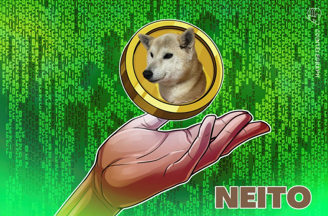 Neitocoin's tweet image. Keep calm and HODL $NEITO. Overall world situation is not ideal but Neito is a safe place. 

With all the noise and war going on, holding Neito will give you peace.