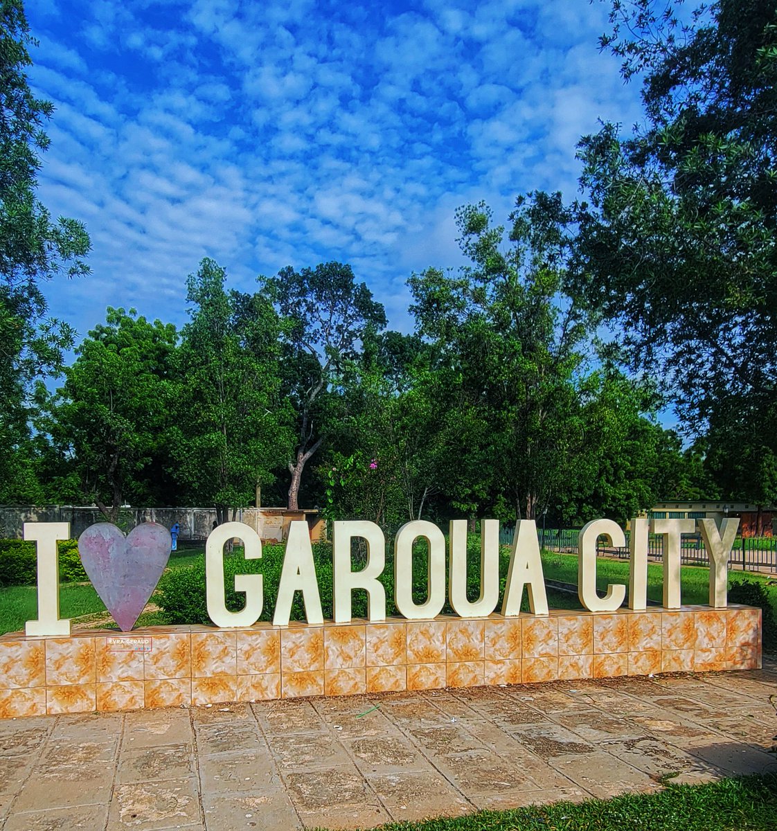 Un Bami qui Tweete💡 tweet media