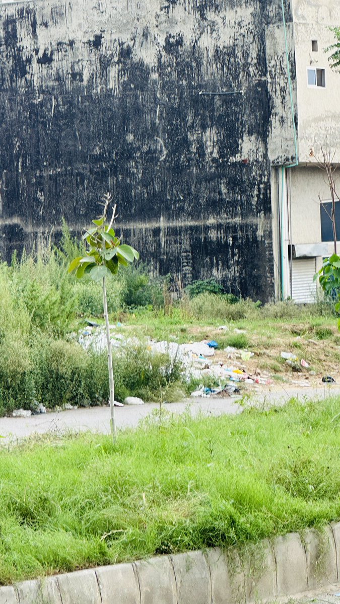tareenoffical's tweet photo. Manzoor Tareen
Sector I-11/3 Islamabad   Sentry markets 

Phone no +923316653666

1-I am writing to bring to your attention a recurring issue regarding the collection of garbage from the front sides of multiple offices in our commercial sector. https://t.co/wJT9qRETKt