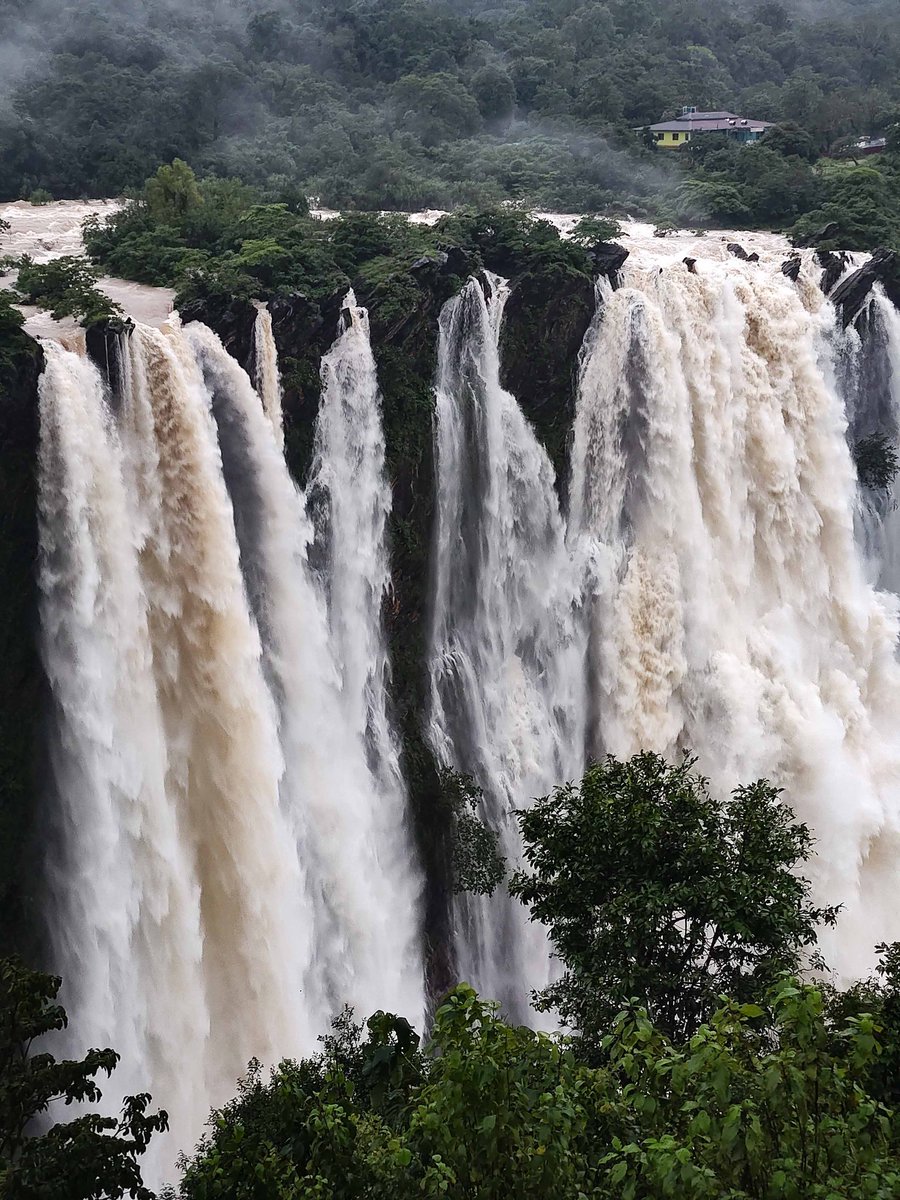 manjeetp06's tweet photo. View of jog fall incredible
#jogfall
#IncredibleIndia
#BeautifulNature
#karnataka https://t.co/HbkWBSjkVs