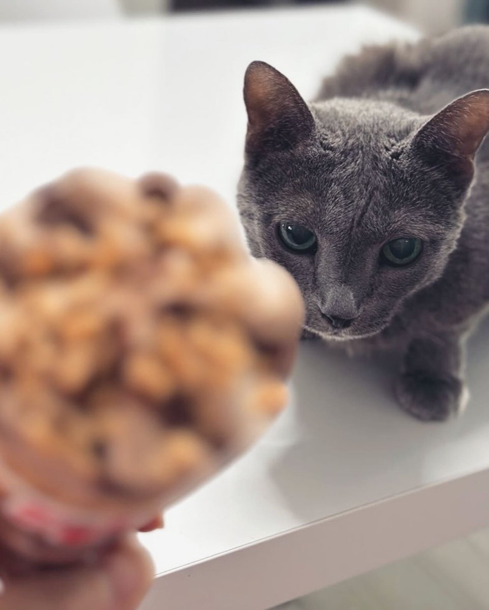 안돼 우주는 당뇨있어서 못 줘
당뇨없어도 못 주지만•••🙂‍↔️