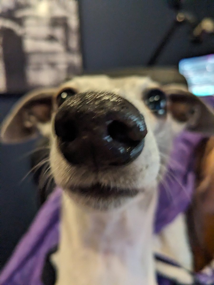 POV - You're a biscuit