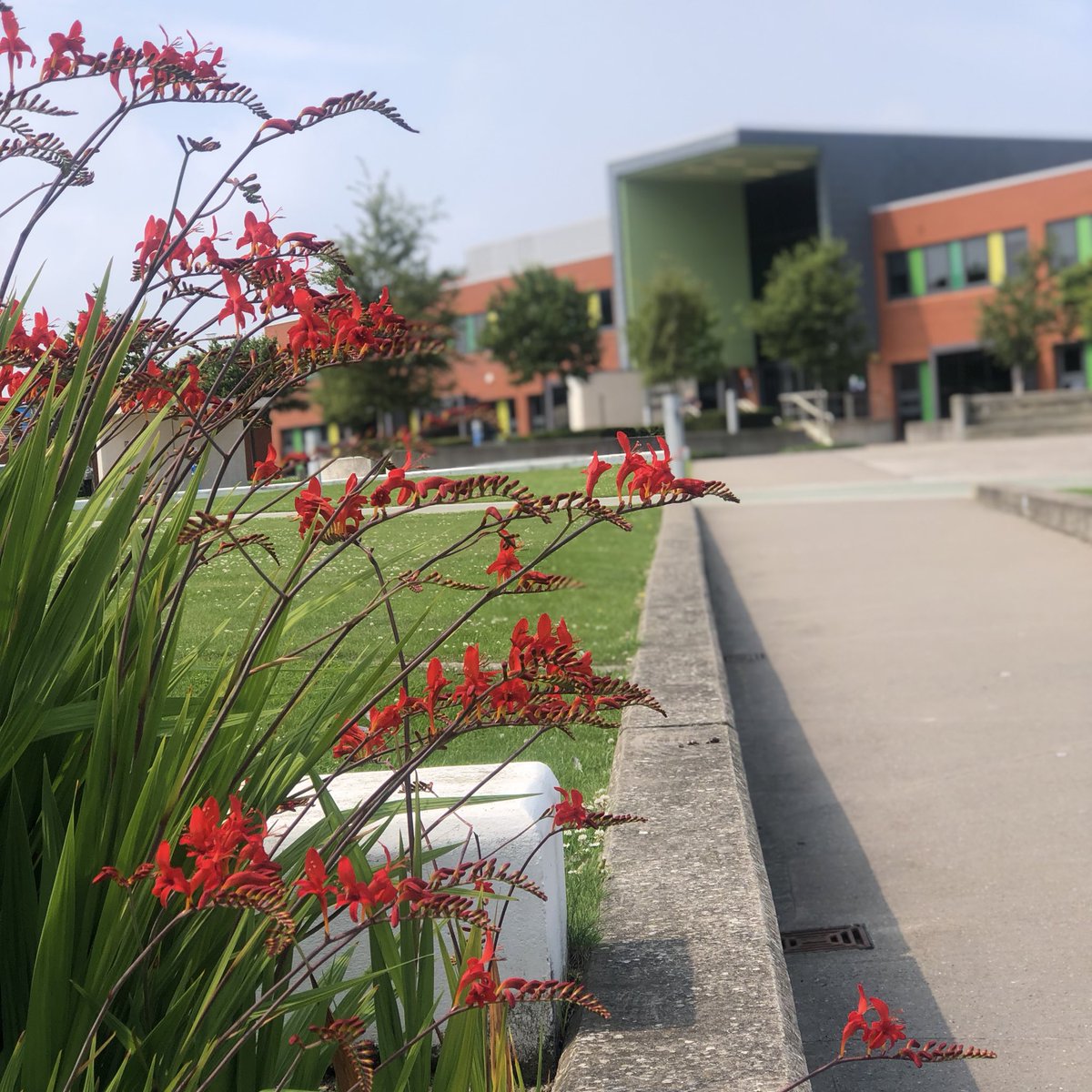 University of Sunderland tweet media