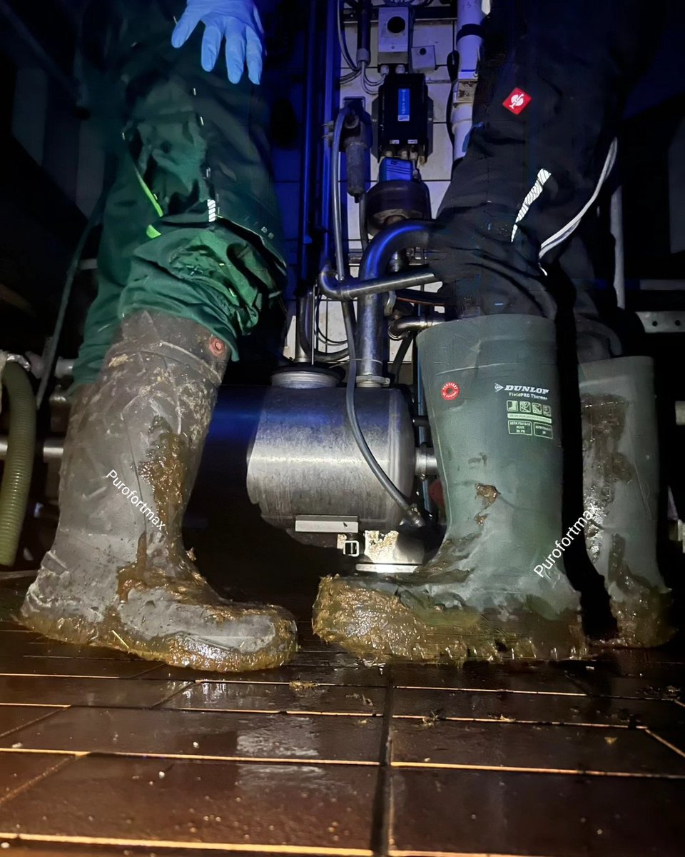 purofortmax's tweet photo. Super nice fun in gear with a young farmer 🐮💩👀

#dunlop #purofort #purofortplus #purofortthermo #strauss #engelbertstrauss #manure #kuhstall #youngfarmers https://t.co/94zt685i0g