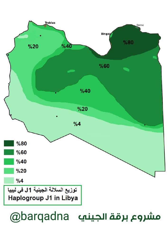 punishmentcall's tweet photo. @sznhsl @ag74p @Ra2y76 That’s a lie, Libyans are not one there are Tripolitanians and Cyrenaicans and they are genetically different. https://t.co/qr0gY4OTUD