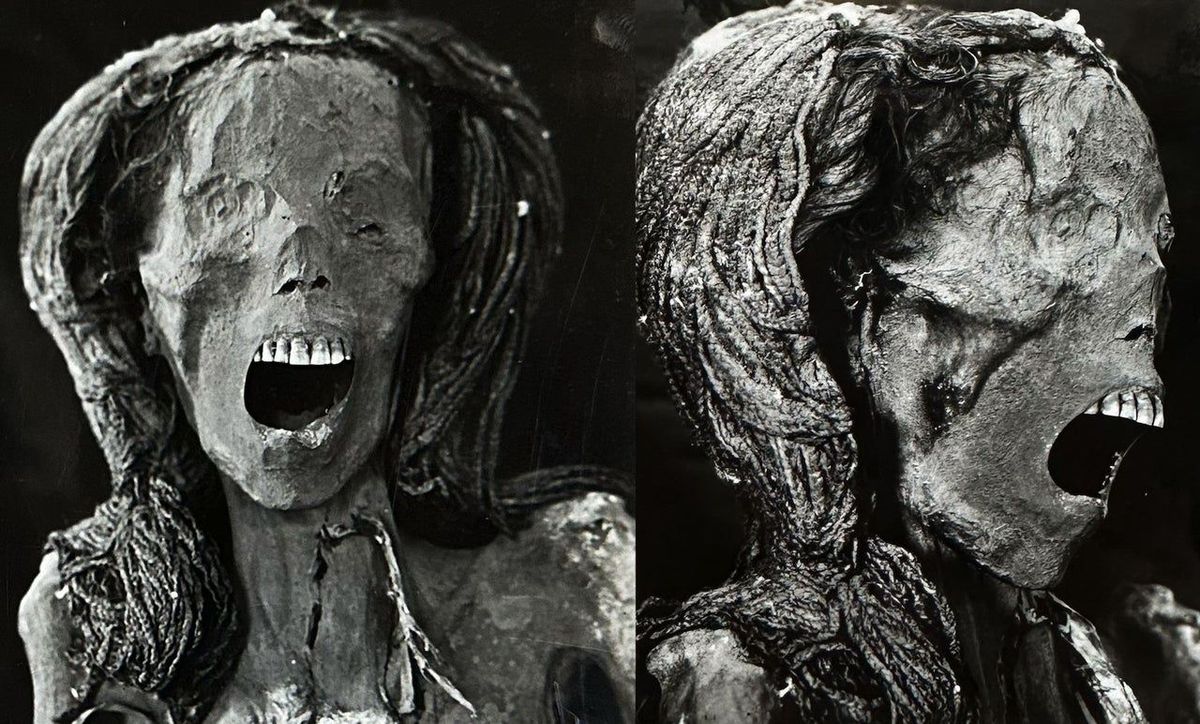 IGN's tweet photo. An ancient Egyptian mummy nicknamed the "Screaming Woman" may owe her terrifying appearance to an agonizing death, according to the authors of a new scientific study. https://t.co/lVHRByTfv3 https://t.co/puKNlqcwYt