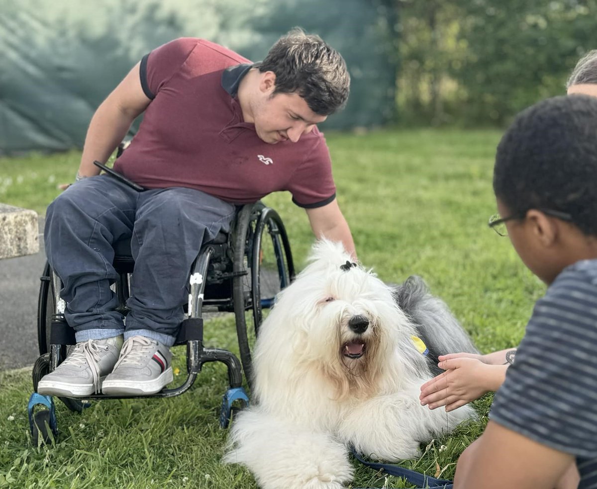 PetsAsTherapyUK's tweet photo. #EnrichingLives
A lovely message to our PAT Team Justine & Marco after their visit at @YMCAEastSurrey. A survey was circulated after their visit to collect the young people's feedback.💛🐾
JOIN US https://t.co/41BA79upaD
#PetsAsTherapy #HumanAnimalBond #patdog https://t.co/CJy7IekcES