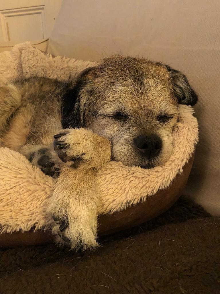 Claire Woods tweet media