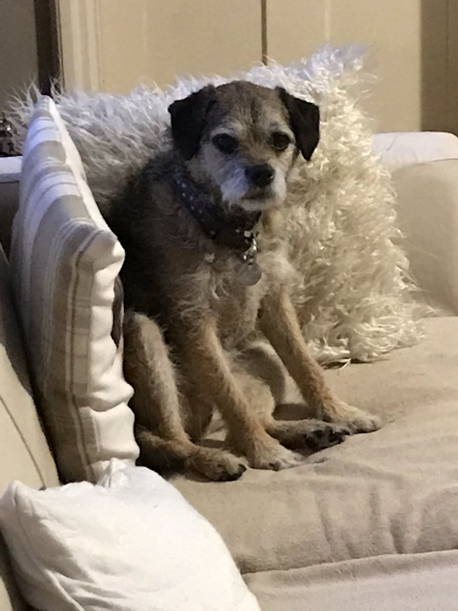 Claire Woods tweet media