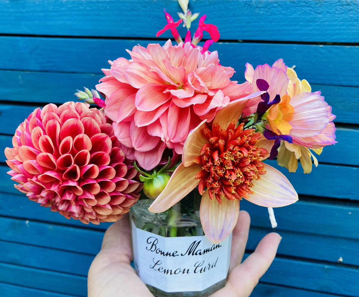 scruftgirl's tweet photo. Tuzzy muzzy of the week featuring zinnia, dahlia, geranium, salvias and Shiraz peas ! Yes dear reader, am also addicted to lemon curd ….
#GardenersWorld
#tuzzymuzzy
#jamjarflowers https://t.co/gTh9y8QWtp