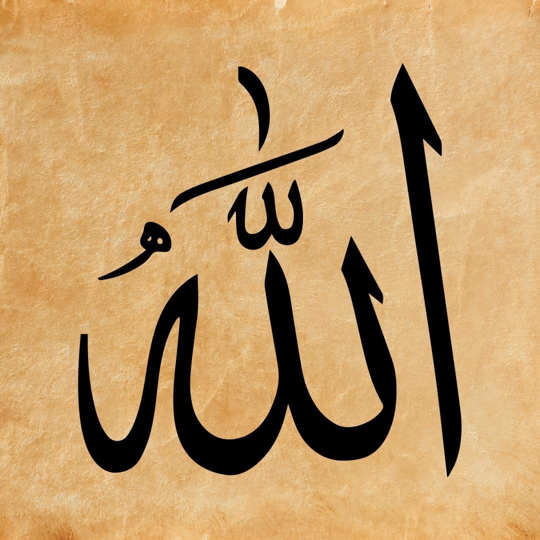 “Hayır! (Sen) ancak Allah’a kulluk et ve şükredenlerden ol.”

(Zümer Sûresi, 66)