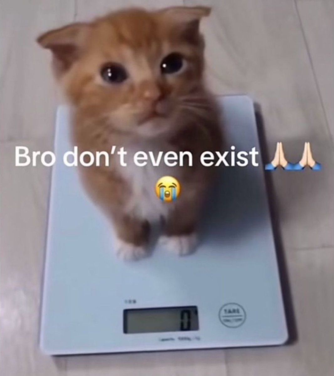 hourly_shitpost's tweet photo. ㅤ https://t.co/RpTKDzfllR