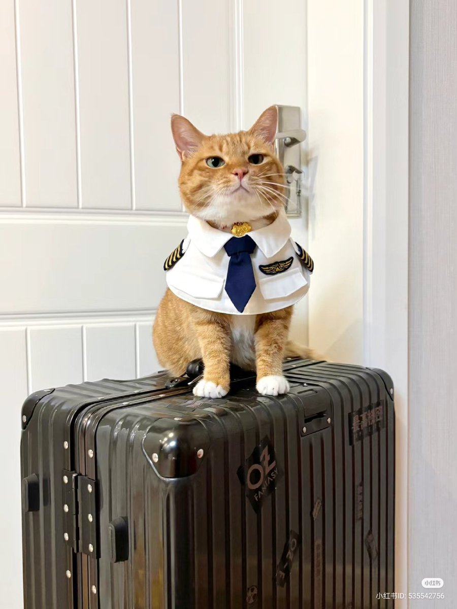 proud pilot