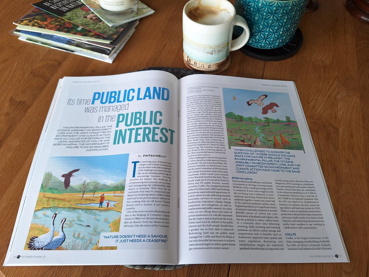 Fintan Kelly tweet media