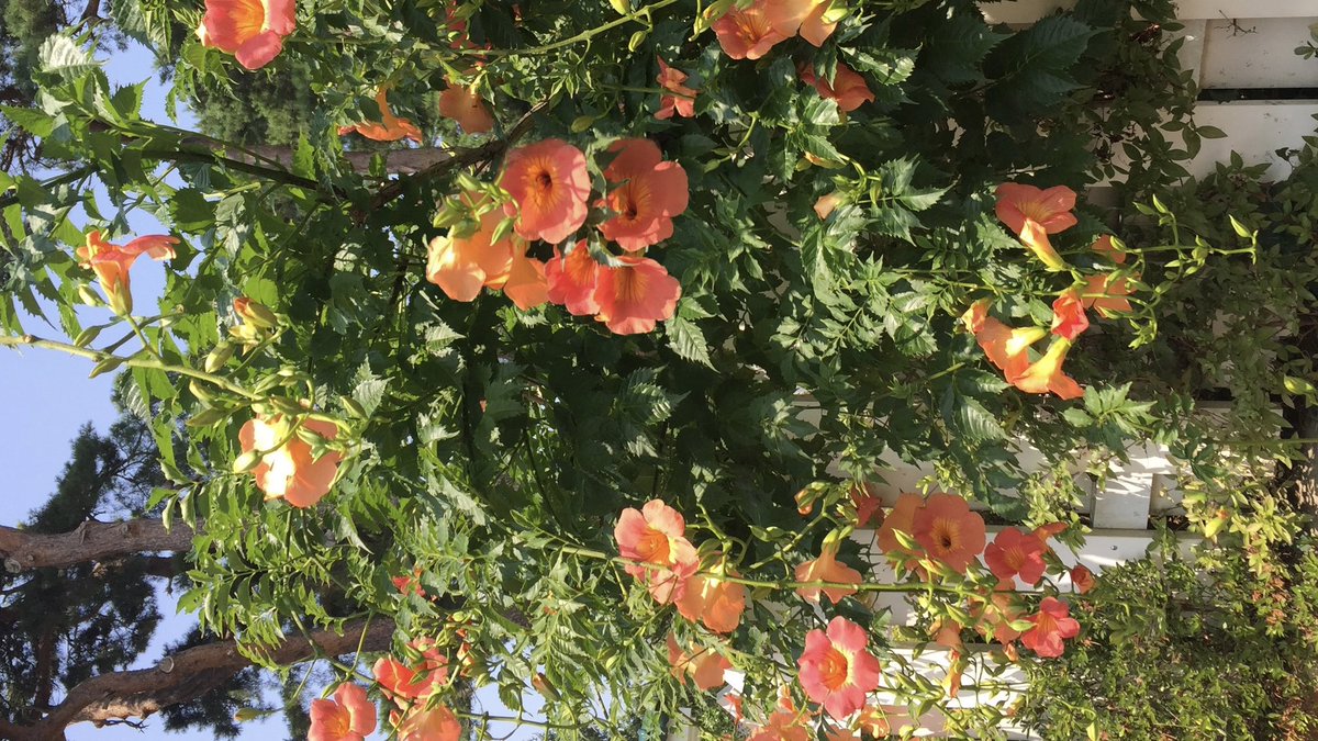 ⛱️ １박２일 강릉여행 블로그

짧지만 알차게 놀다 옴 //...
&amp; 숙소 + 맛집 추천 )) ☕️

* m.blog.naver.com/sc7toh/2235353…