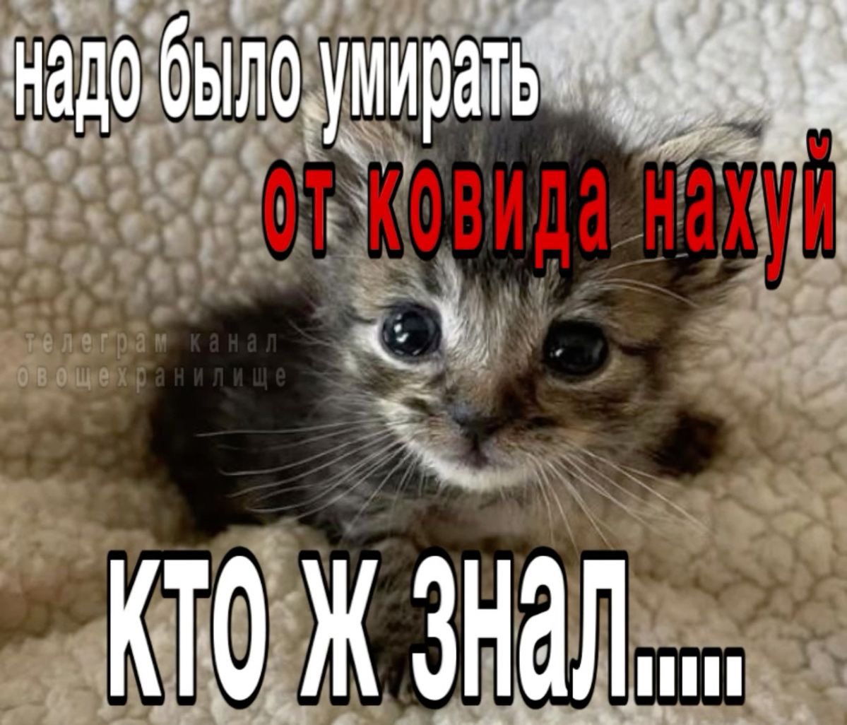 сʏχᴀᴘь (@crazy_sukharik) on Twitter photo 