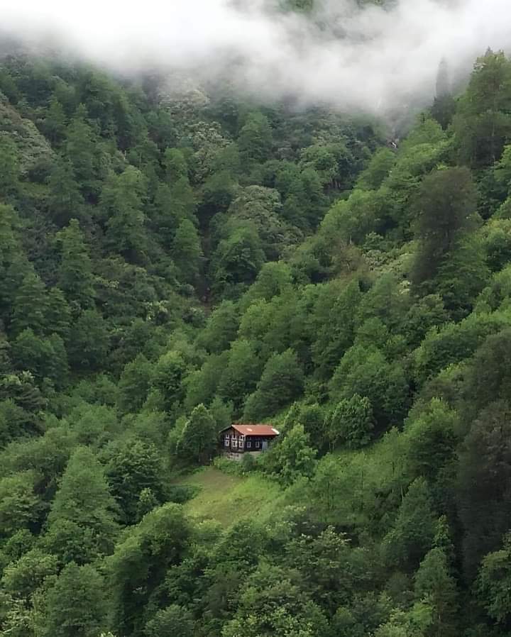 A lovely home in the lap of nature 🌳💚

प्रकृति की गोद में बना एक प्यारा सा घर🏡