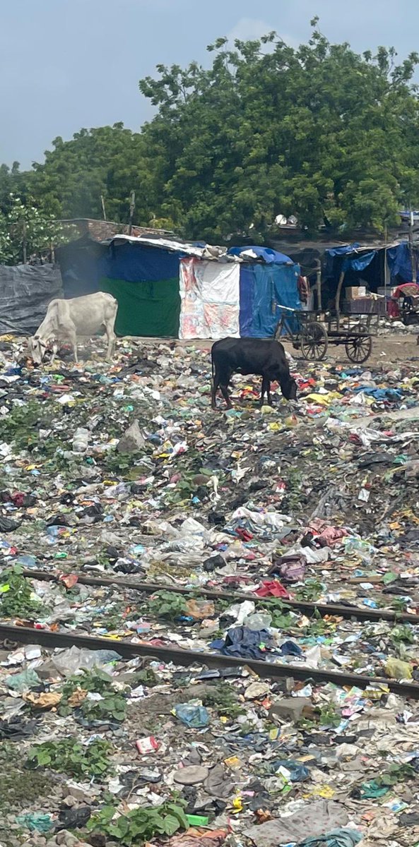 MadhviChittoor's tweet photo. Trash!Trash!Trash! @ Kanpur Railway Station in #Kanpur, #India. I was baffled,took action,made phone calls,met with @mayorkanpur Ms.Pramila Pandey, who said it comes under the jurisdiction of @RailMinIndia @CnbCtm but agreed to do the cleanup #socialjustice #EnvironmentaJustice https://t.co/ViZ5i8DOaE