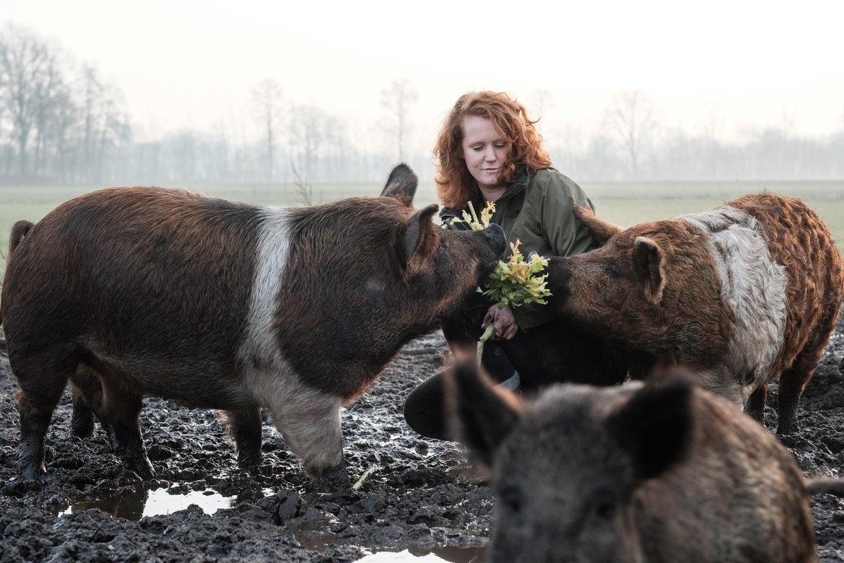Inge Vleemingh tweet media