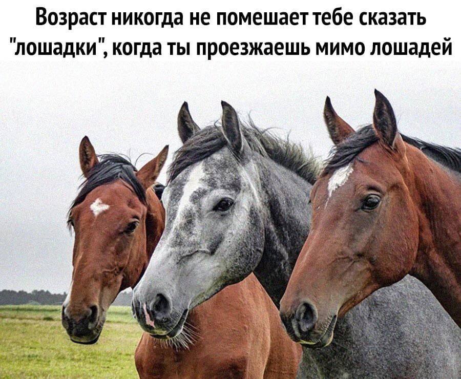 Дантес tweet media