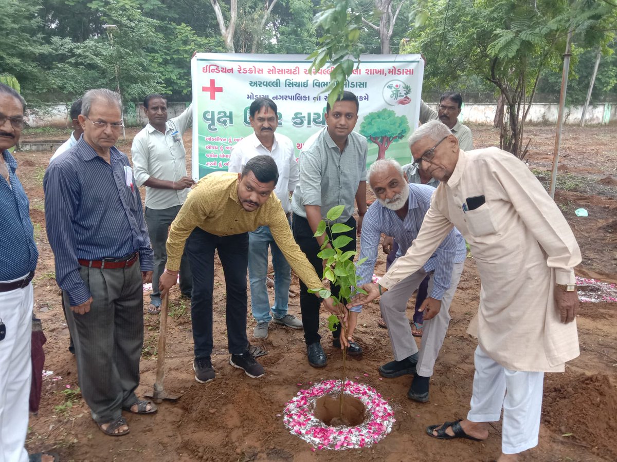 CO_MODASA's tweet photo. એક પેડ માં કે નામ અભિયાન અંતર્ગત મોડાસા નગરપાલિકા દ્વારા આજ રોજ વૃક્ષારોપણ માટે  ઇન્ડિયન રેડક્રોસ સોસાયટી અને  મોડાસા નગરપાલિકા દ્વારા સિંચાઇ વિભાગની જગ્યામાં એક પેડ માં કે નામ પર ૧૫૧૨ વૃક્ષોનું વૃક્ષારોપણ કરવામાં આવ્યું. #SwachhBharatMission @CollectorArvali @rcmgandhinagar https://t.co/RWcxOQUpQg