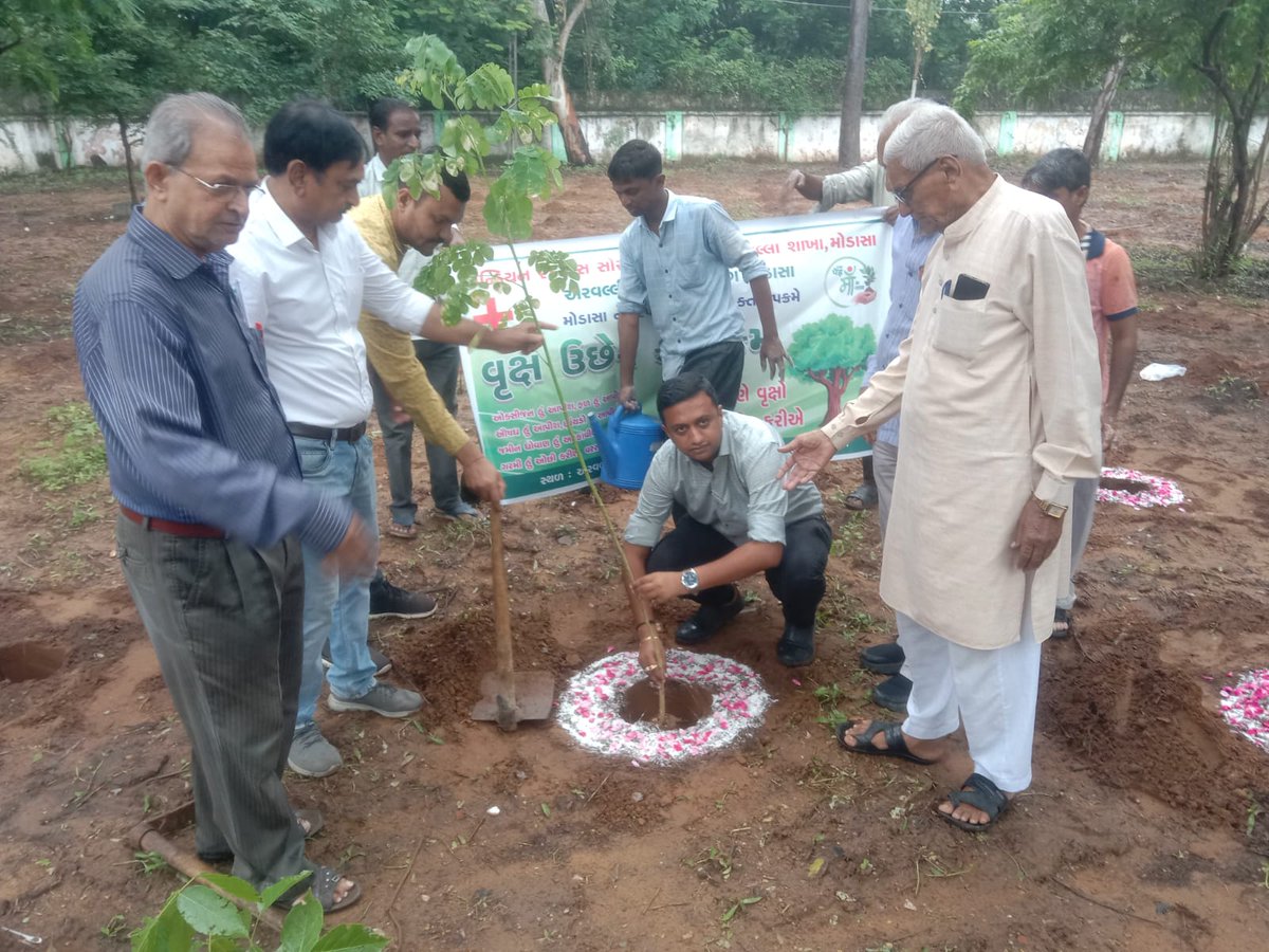 CO_MODASA's tweet photo. એક પેડ માં કે નામ અભિયાન અંતર્ગત મોડાસા નગરપાલિકા દ્વારા આજ રોજ વૃક્ષારોપણ માટે  ઇન્ડિયન રેડક્રોસ સોસાયટી અને  મોડાસા નગરપાલિકા દ્વારા સિંચાઇ વિભાગની જગ્યામાં એક પેડ માં કે નામ પર ૧૫૧૨ વૃક્ષોનું વૃક્ષારોપણ કરવામાં આવ્યું. #SwachhBharatMission @CollectorArvali @rcmgandhinagar https://t.co/RWcxOQUpQg
