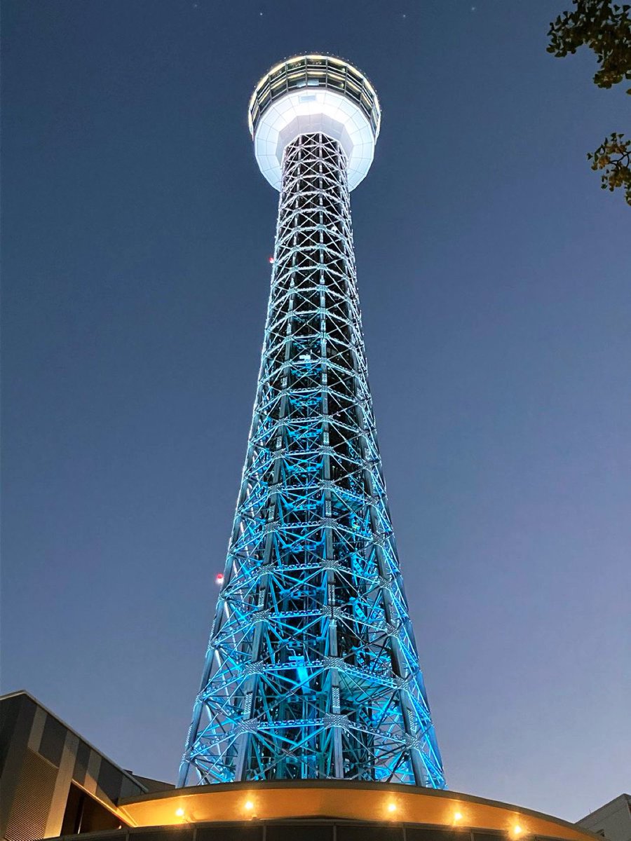 alternativetri's tweet photo. ✧₊⁎リオちゃん⁎⁺˳✧
横浜マリンタワー今夜は
🩵リオブルーだよ♪めっちゃ綺麗⁎⁺˳✧
リオちゃん何してるかな🥹✨✨
✧₊⁎#RIO_Blue⁎⁺˳✧
#横浜マリンタワー
#RIO_bubble #NiziU #니쥬
#RIO🩵#리오🐣#リオ https://t.co/bOBhkGwxnU