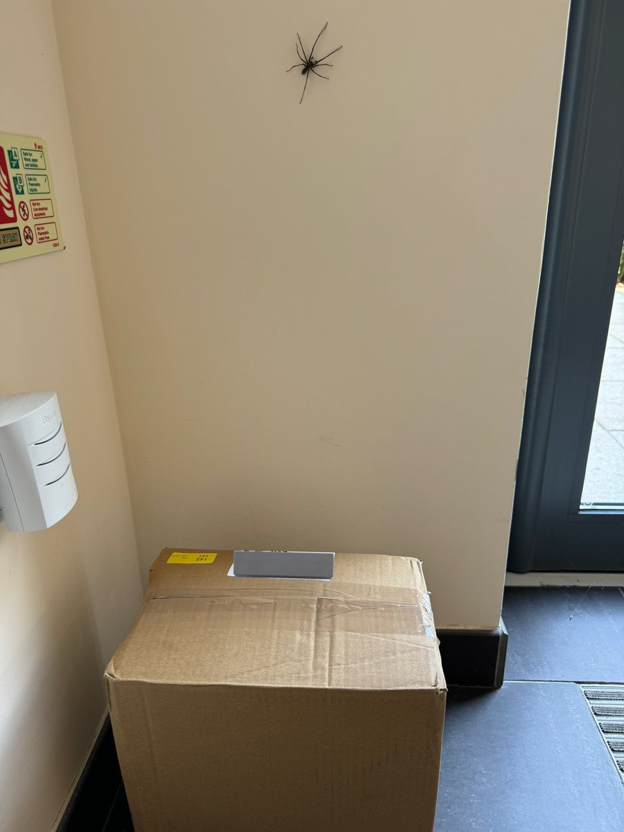 phil_d13's tweet photo. Good lad Cedric. You keep an eye on my parcel for me π·οΈππΈπ #spidersaturday https://t.co/7l1npyehsd