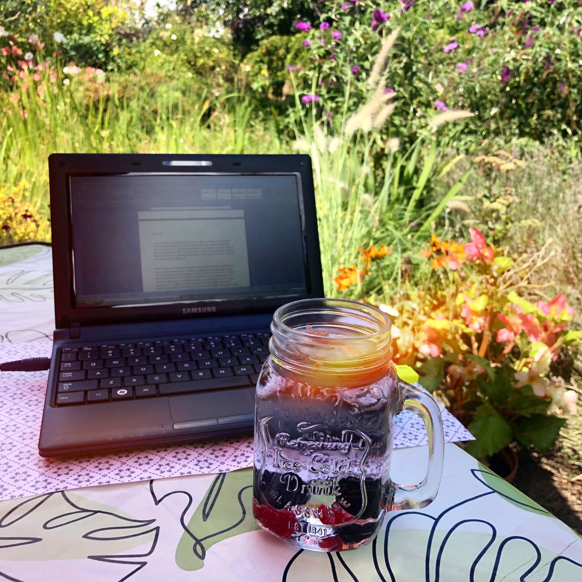 Moje dzisiejsze biuro 💚
My office today 💚