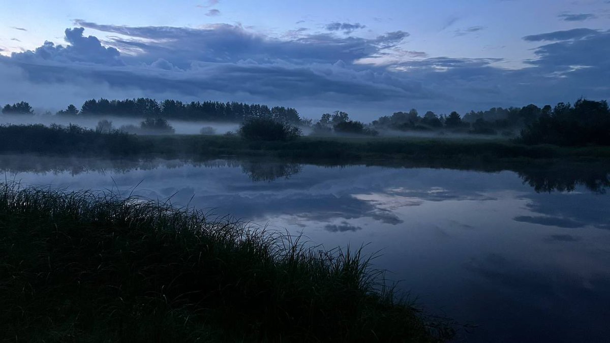 stefkone tweet media