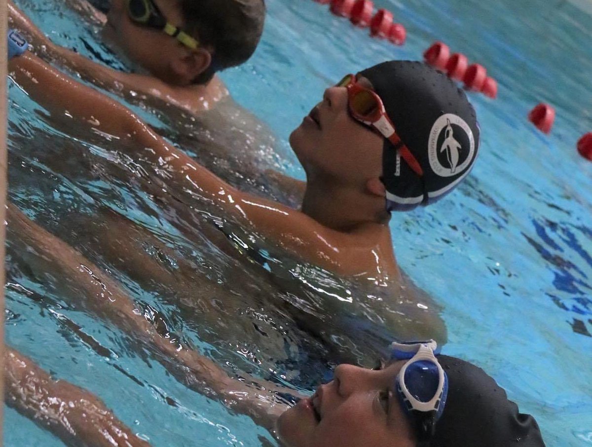 Leicester penguins tweet media