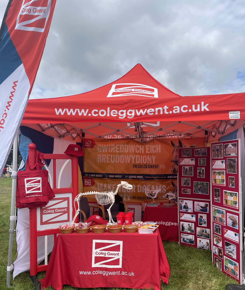 Mitchell Rees tweet media