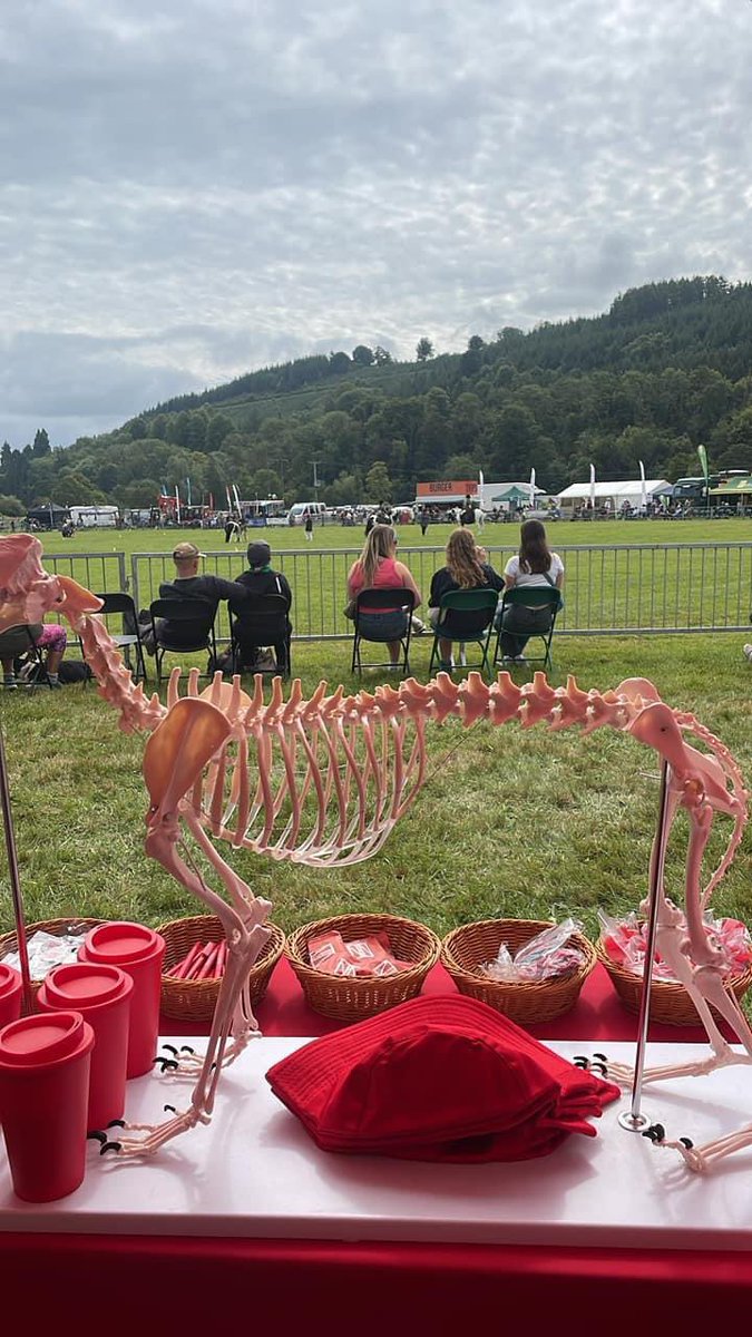 Mitchell Rees tweet media