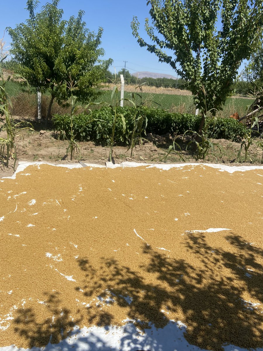 TraderBro tweet media