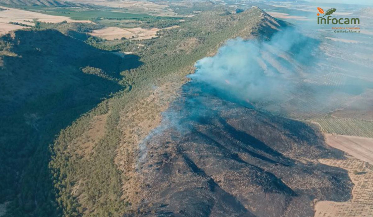 FChicoZamora's tweet photo. De momento 2024, es el año del -Deja vu- 
Todos los incendios relevantes se han producido en zonas de alta recurrencia de #IIFF 
#IFTobarra
#IFValverdejo
#IFArgamasillaCalatrava
#IFHellin
#IFlapueblanueva
...
Fotos del #IFTobarra de ayer y el de 2021 https://t.co/JgdJDMPhzr