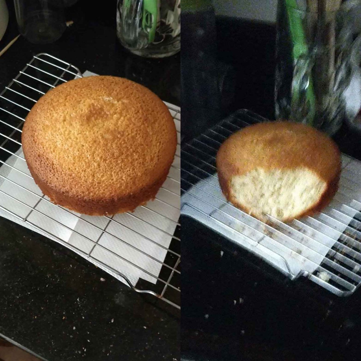 StylishTunaEmma's tweet photo. It's been seven years since I last attempted to make a Victoria sponge cake, I haven't tried again since Jaina decided to taste test the last one but today I will try again for my brother's birthday and Jaina will be in puppy prison while it cools this time 🎂 https://t.co/tz9J4YLxYq