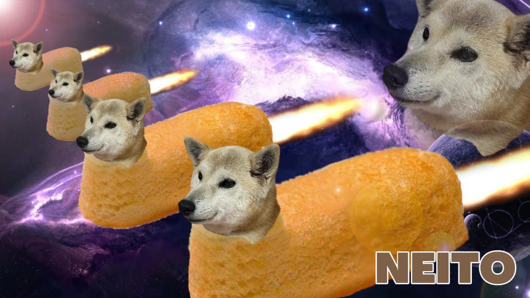 Neitocoin's tweet image. $NEITO Army prepare to take off! We're holding a solid support and building up slowly as we gather real believers. Moon is inevitable.