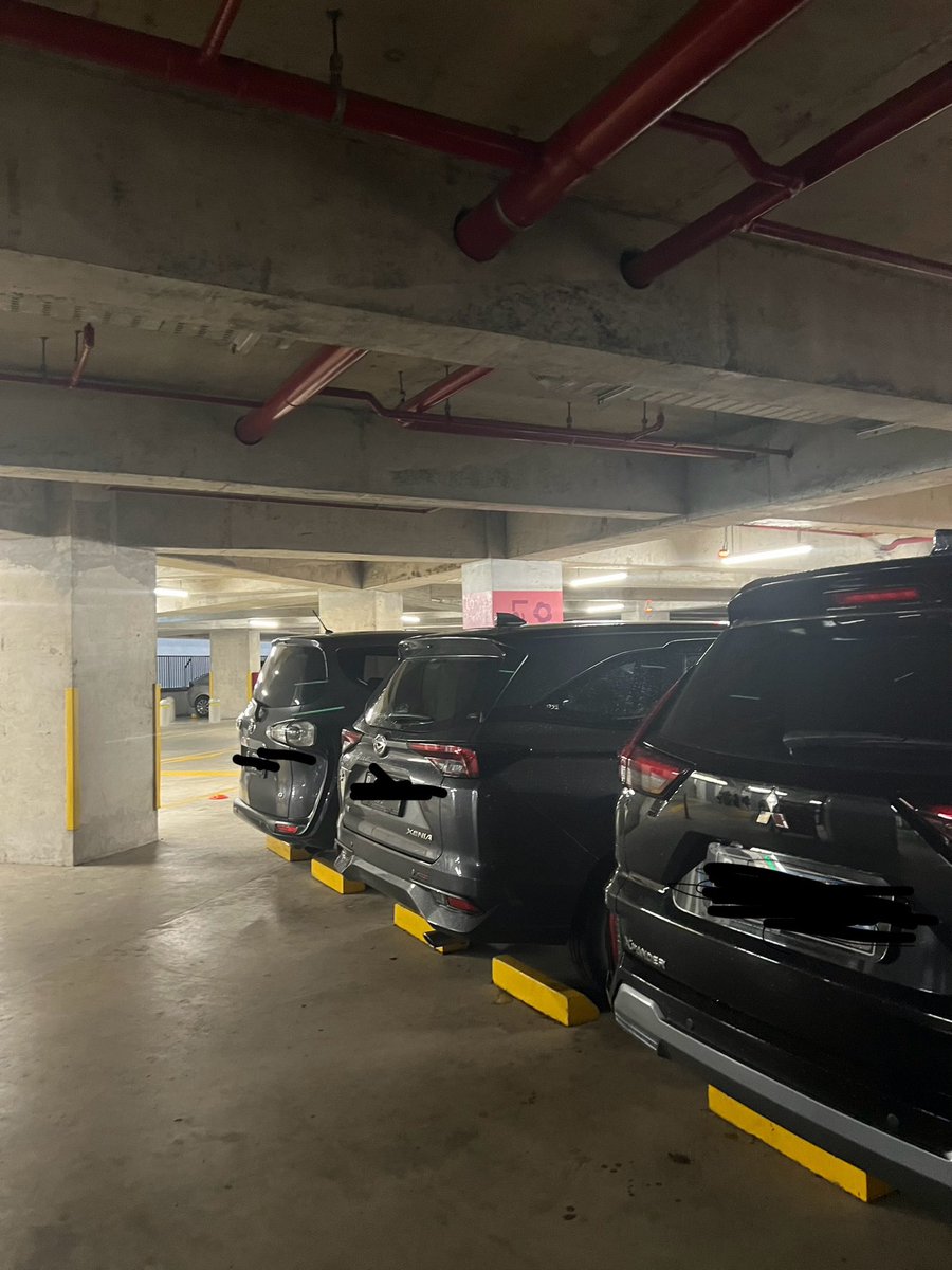 Barusan pergi ke mall, trs ga sengaja liat mas2 parkirnya di ladies parking. pernah jg ke mall lain liat mas2 yg nyetir tp parkirnya di ladies parking.Pokonya ini sering terjadi dan memang ga ada petugasnya yg jaga. Jadi apakah mereka menyebut dirinya ladies?