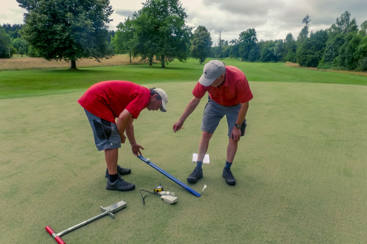 euroturfgrass's tweet photo. We like helping people to establish long lasting and meaningful positive changes that enable them to become more self-sufficient and environmentally sustainable.

Get in touch to see how we can help you!
📧 info@euroturfgrass.co.uk https://t.co/mRvhciWLgY