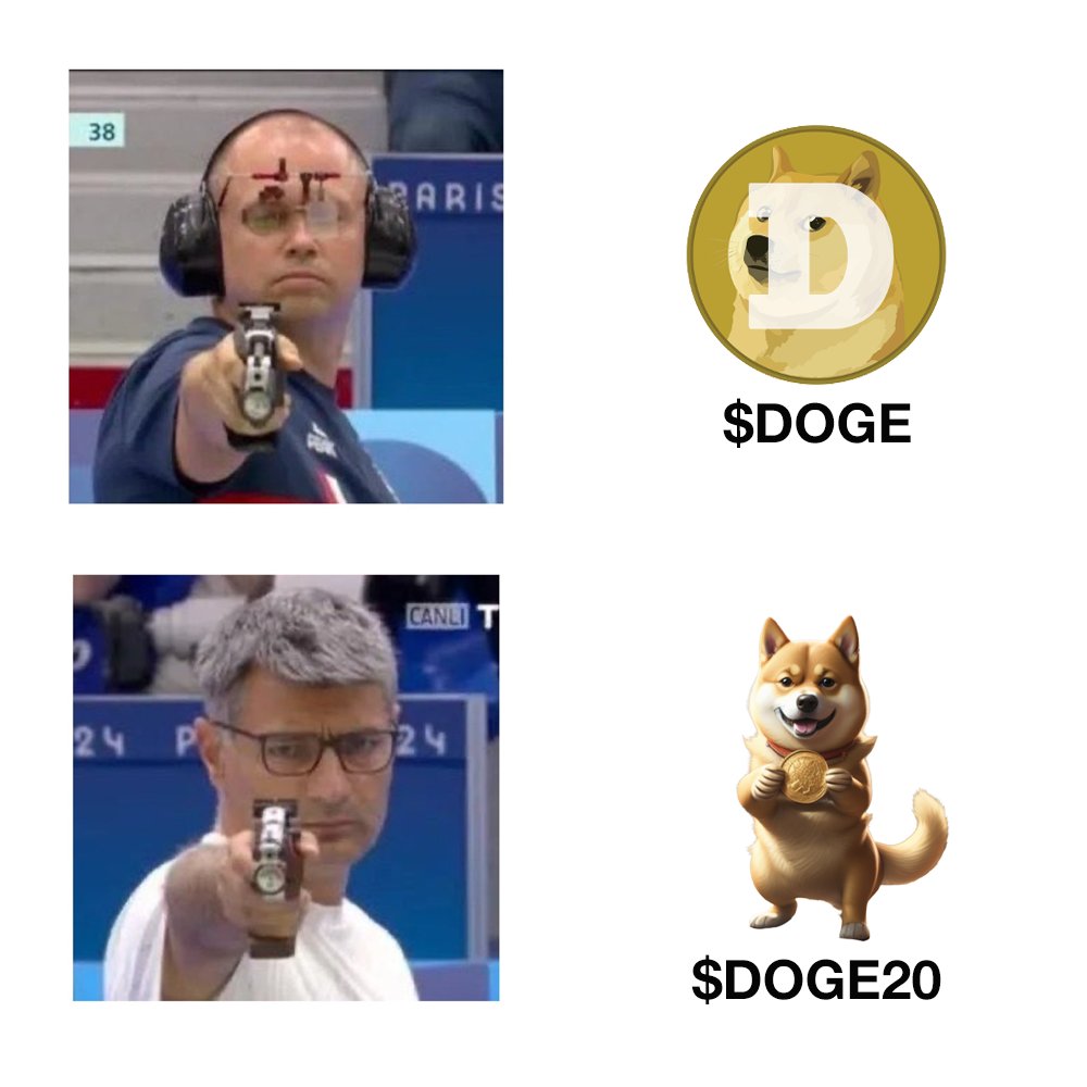 When your friends ask you what the difference between #DOGE and #DOGE20 is…🏆