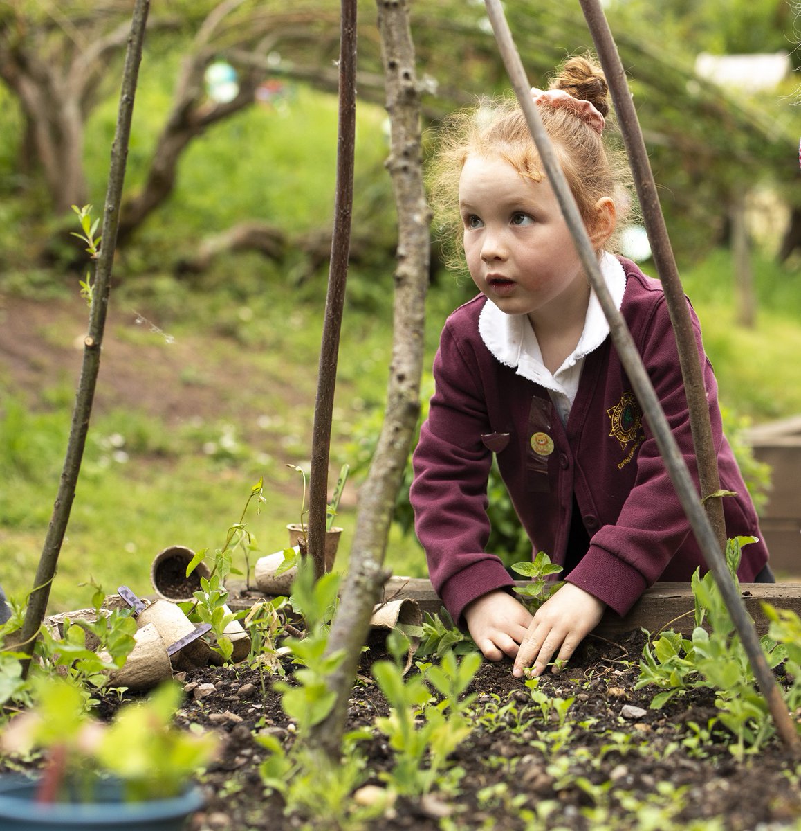 A gardening calendar has recently been unveiled at the Royal Welsh Show and will soon be adopted by schools across Monmouthshire 

👉 tinyurl.com/3s27pb76